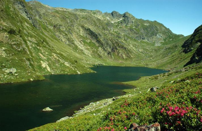 Apartaments Sort Pirineus Exteriör bild